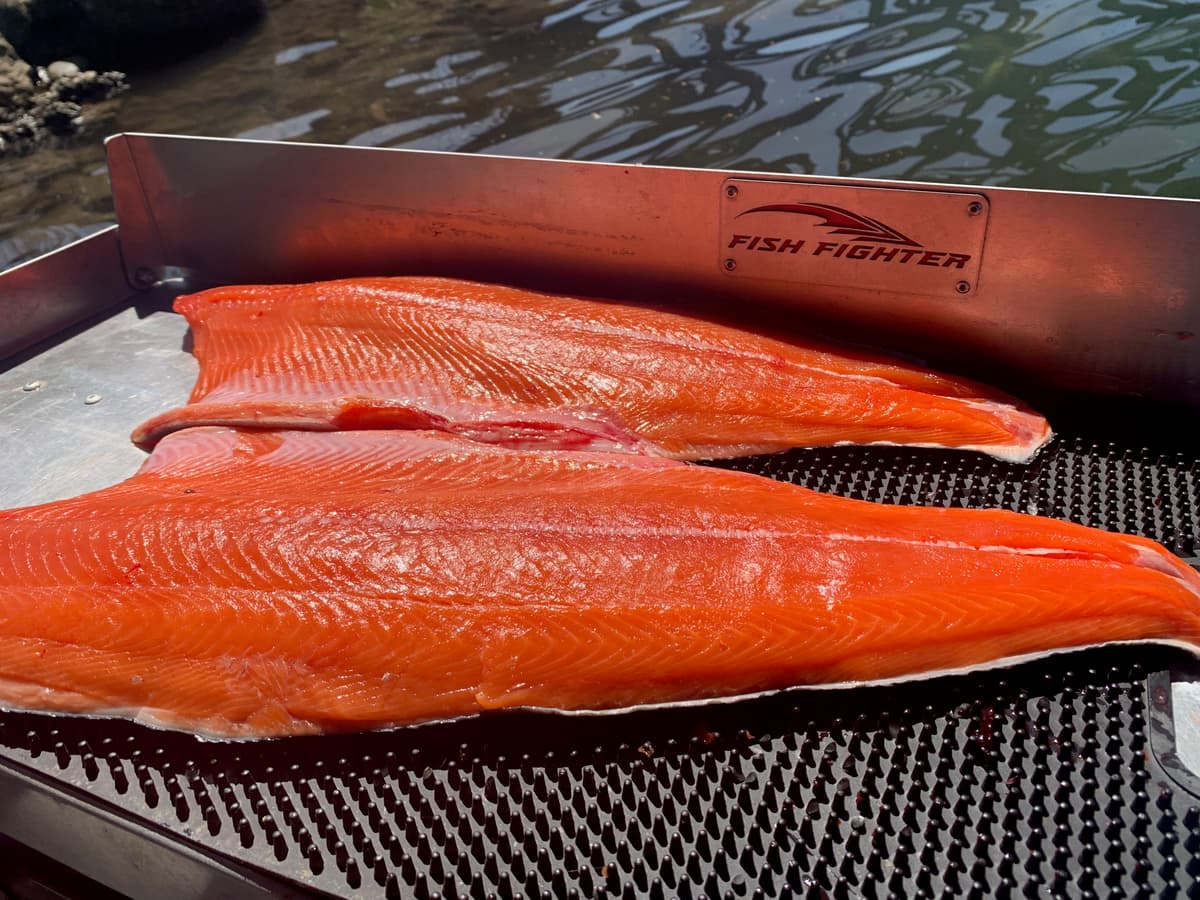 Fresh-caught fish cooking after a guided fishing trip with Fish Intimidators