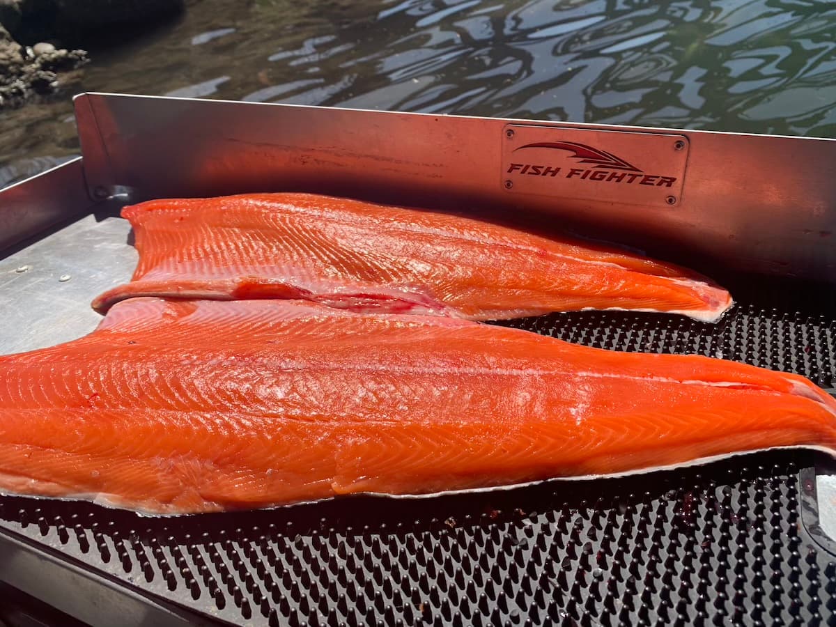Fish Intimidators Fish Intimidators trip 24