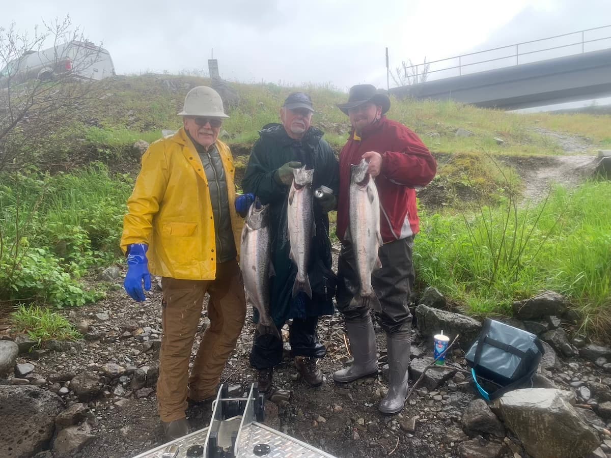 Three anglers with king salmon catches on riverbank near Columbia River bridge
