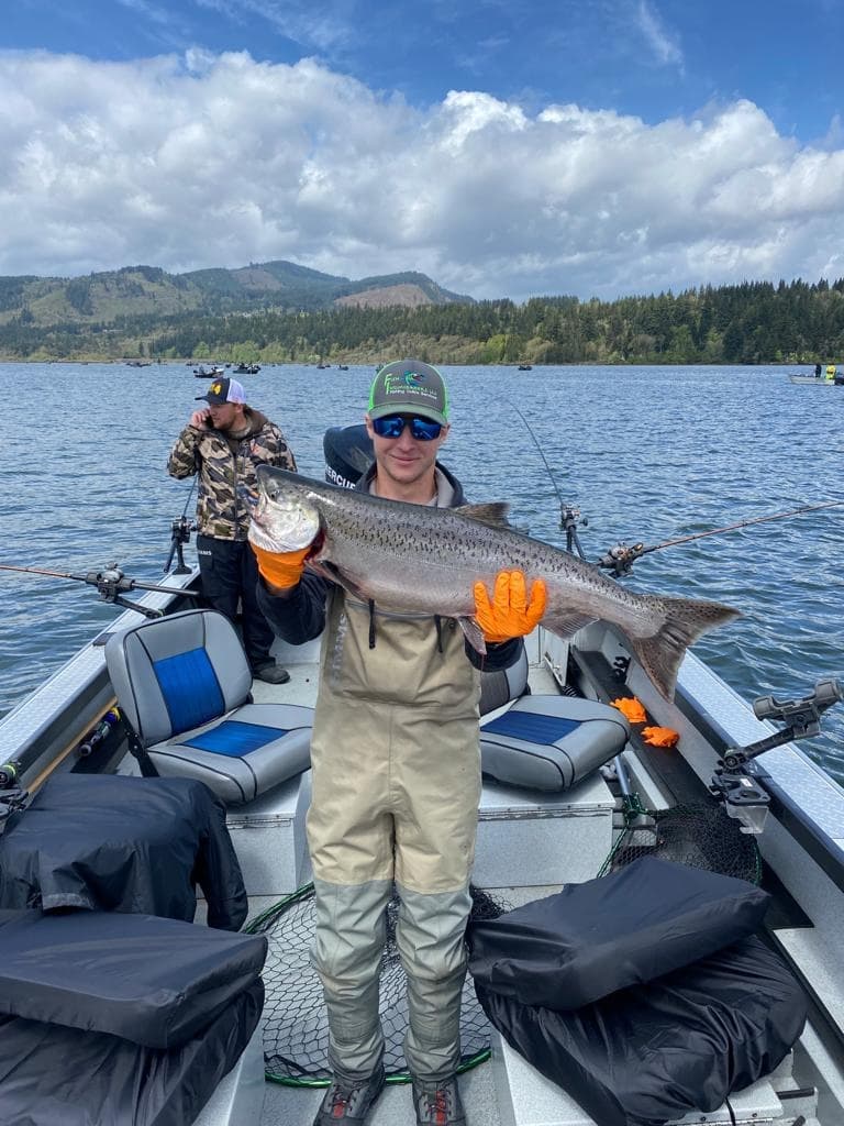 Angler holding large chinook salmon on guided Columbia River fishing trip